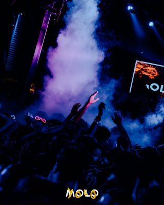 AMOLO-4