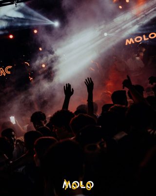 MOLO-19