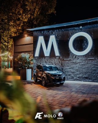 MOLO-95