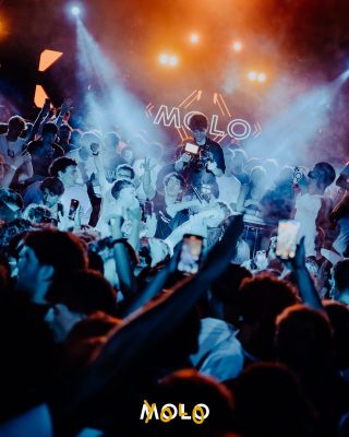 MOLO-19