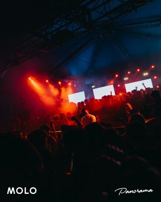 IMG 6998