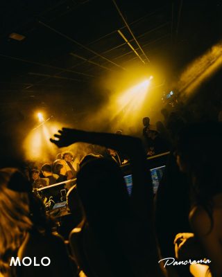 IMG 7977