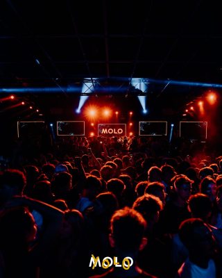 AMOLO-9