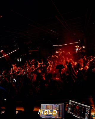AMOLO-14